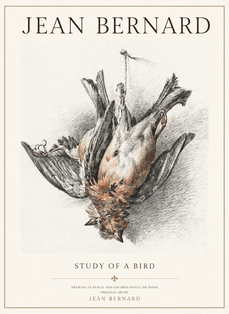 Jean Bernard Study of a Bird IV No3 - Juliste