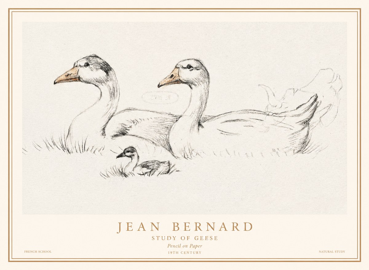 Jean Bernard Study of Geese No1 - Juliste