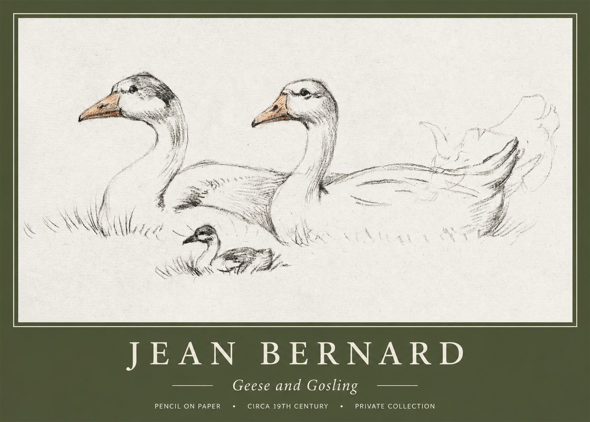 Jean Bernard Study of Geese No2 - Juliste