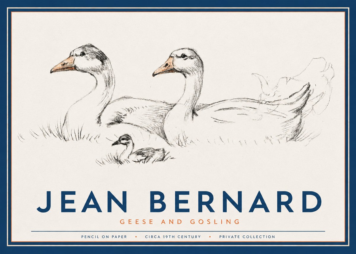 Jean Bernard Study of Geese No3 - Juliste