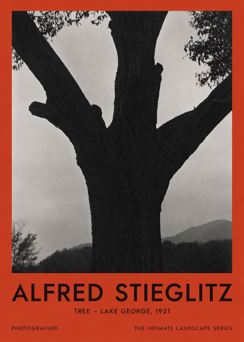 Alfred Stieglitz Tree - Lake George, 1921 No2 - Juliste