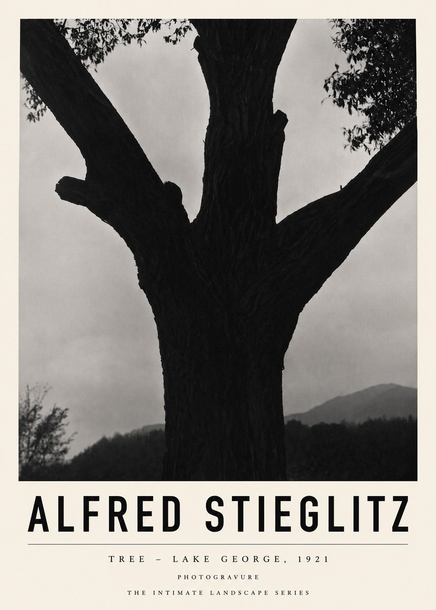 Alfred Stieglitz Tree - Lake George, 1921 No3 - Juliste