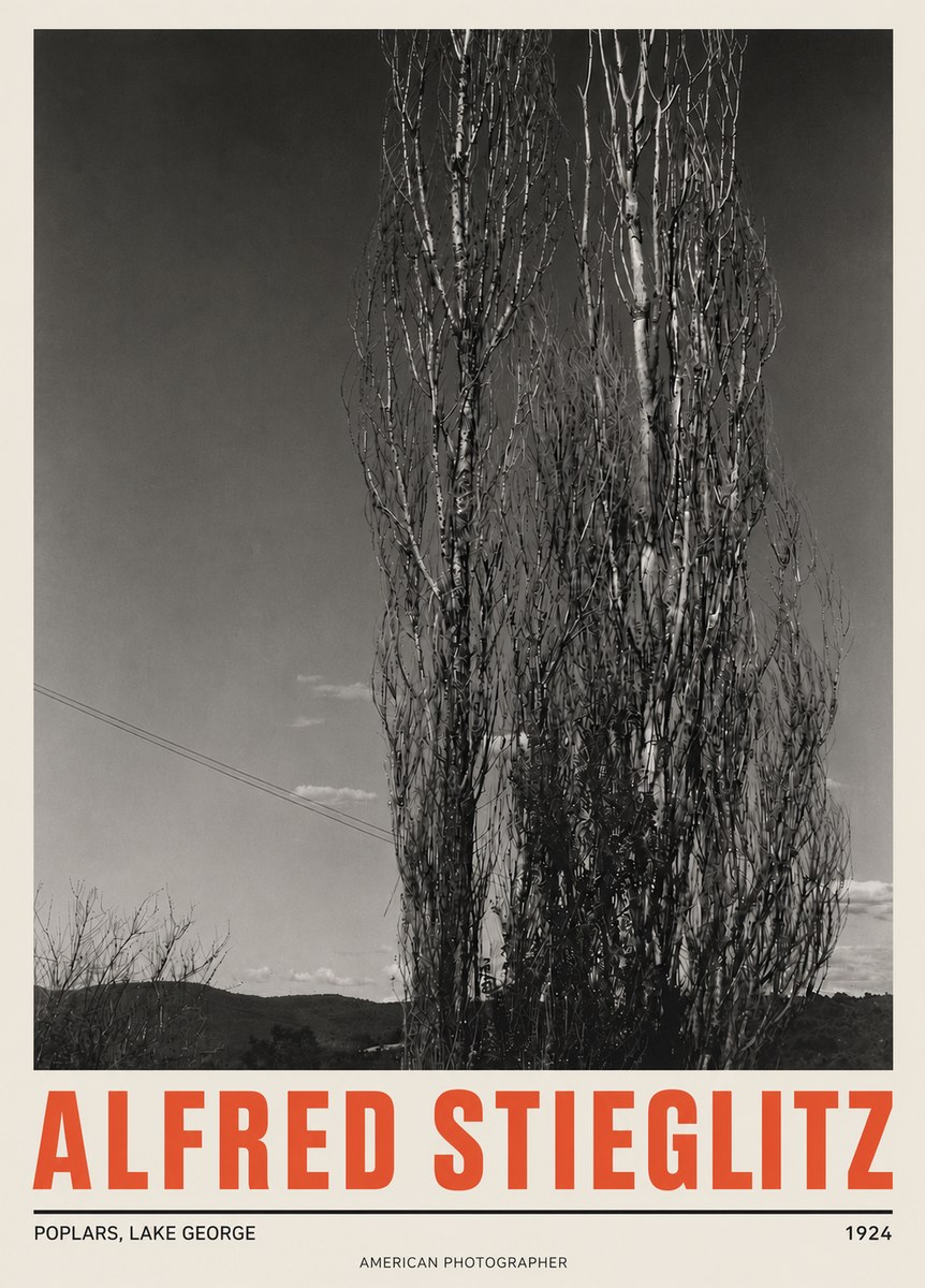 Alfred Stieglitz Trees - Lake George, 1921 No5 - Juliste