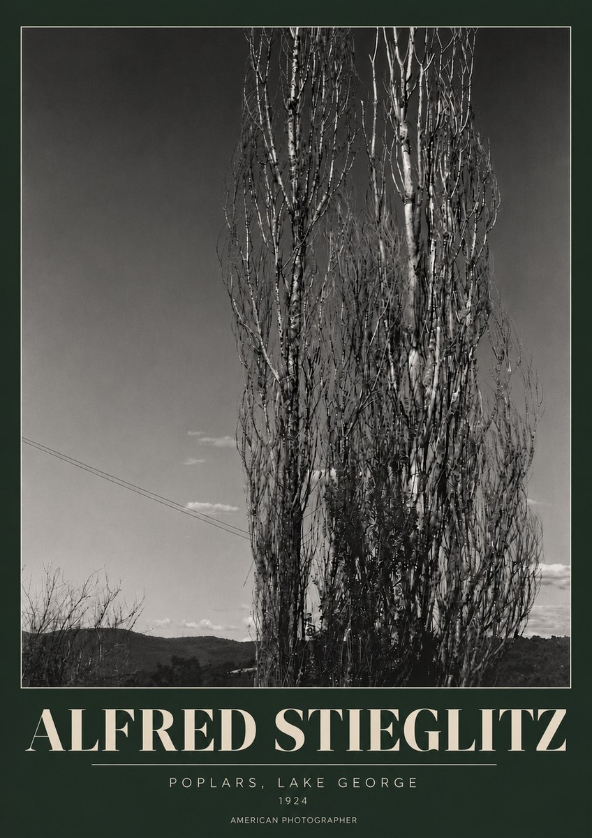 Alfred Stieglitz Trees - Lake George, 1921 No6 - Juliste