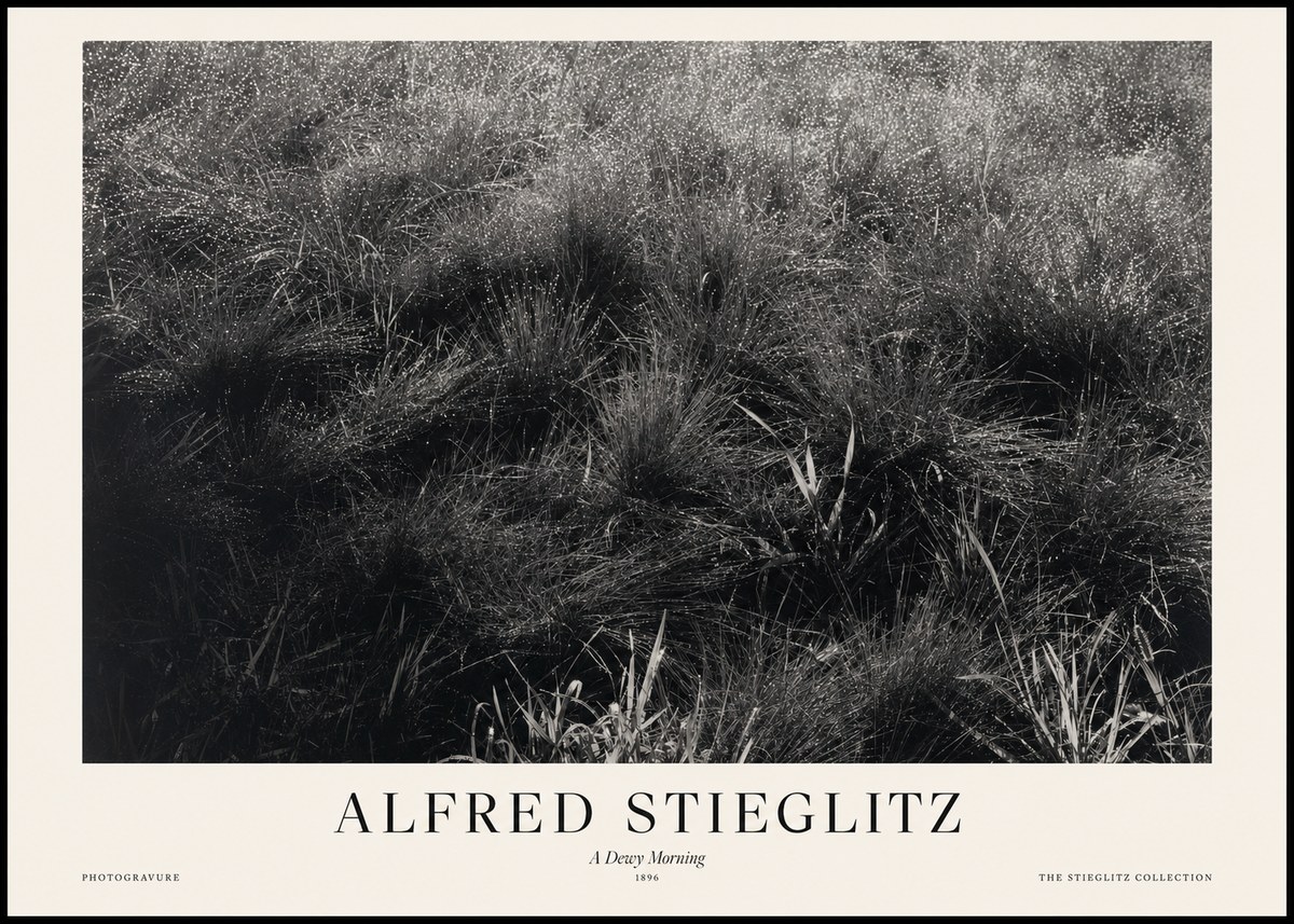 Alfred Stieglitz A Dewy Morning No1 - Juliste