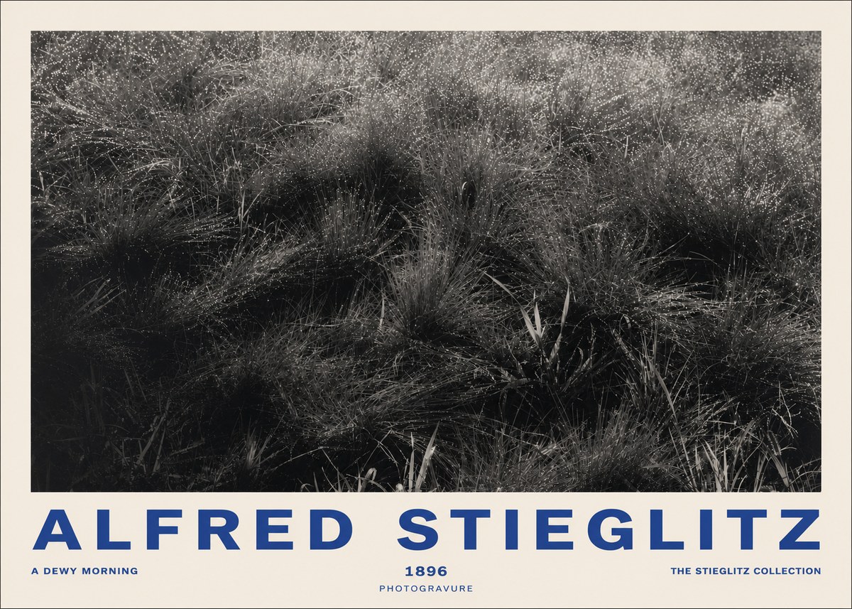 Alfred Stieglitz A Dewy Morning No2 - Juliste