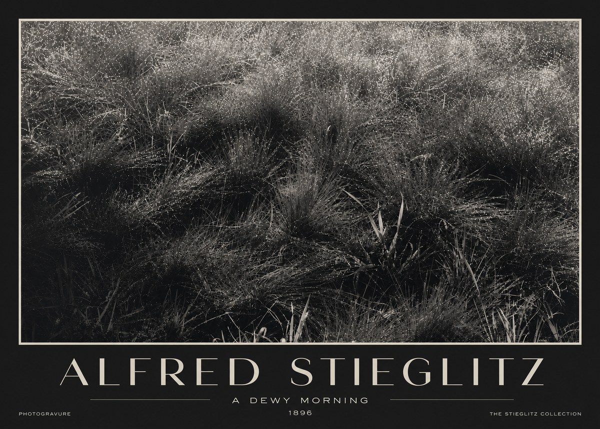 Alfred Stieglitz A Dewy Morning No3 - Juliste