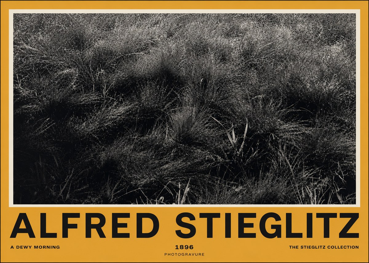 Alfred Stieglitz A Dewy Morning No4 - Juliste