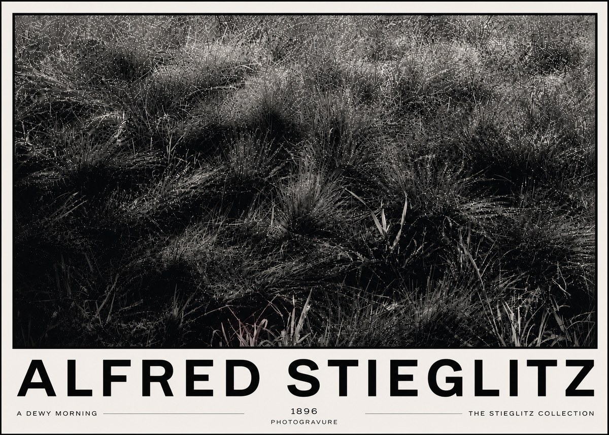 Alfred Stieglitz A Dewy Morning No6 - Juliste