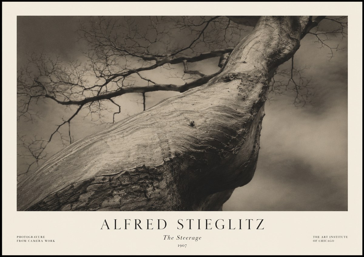 Alfred Stieglitz The Steerage I No1 - Juliste