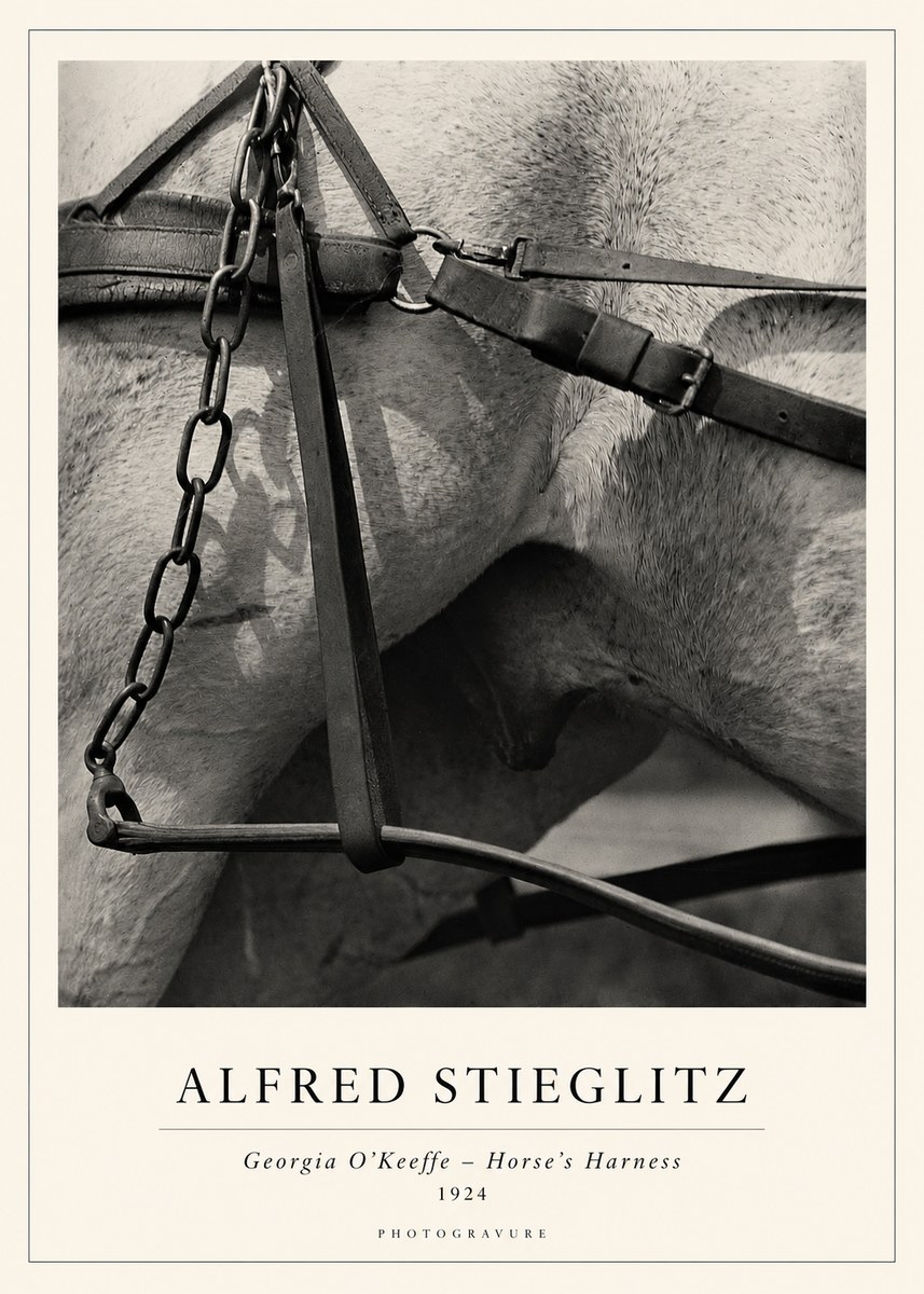 Alfred Stieglitz The Steerage I No2 - Juliste