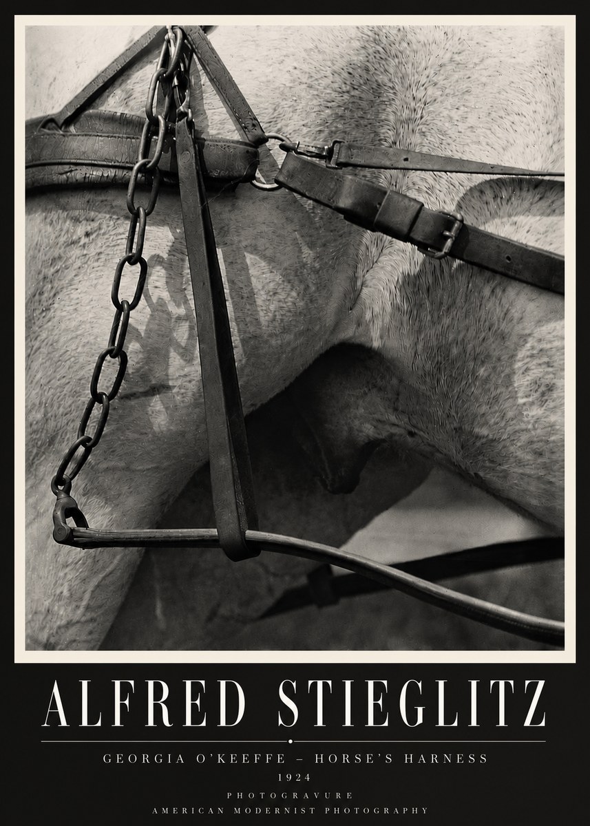Alfred Stieglitz The Steerage I No4 - Juliste