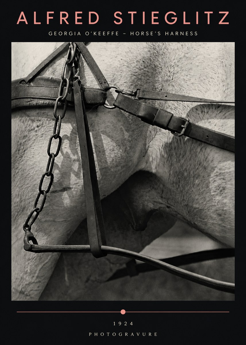 Alfred Stieglitz The Steerage I No5 - Juliste