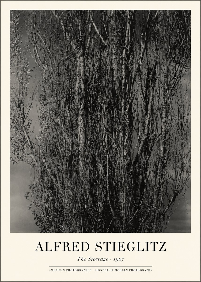Alfred Stieglitz The Steerage II No1 - Juliste