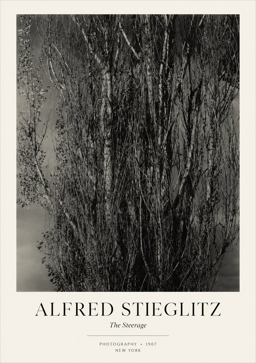 Alfred Stieglitz The Steerage II No3 - Juliste