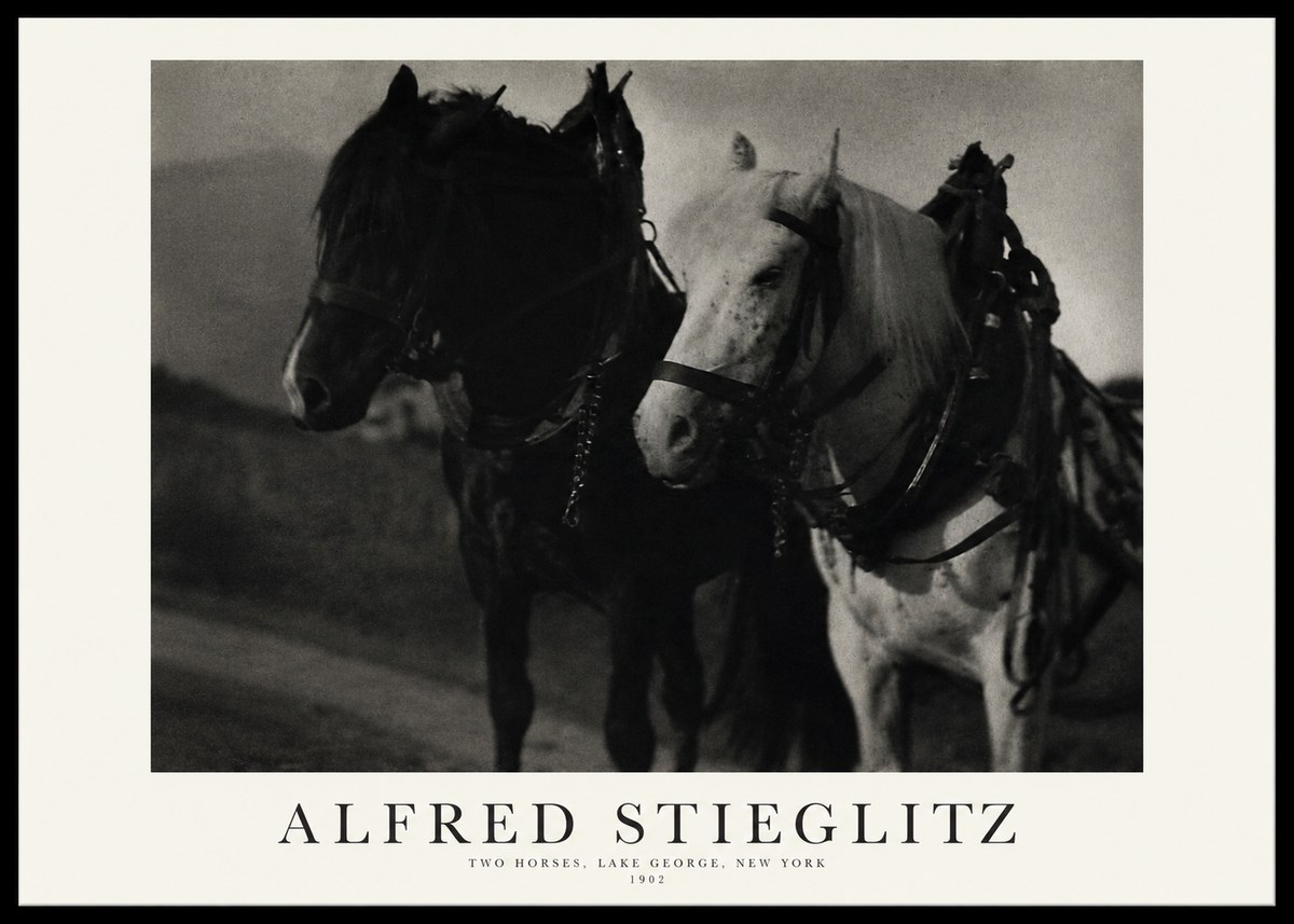 Alfred Stieglitz Two Horses, Lake George, New York No1 - Juliste