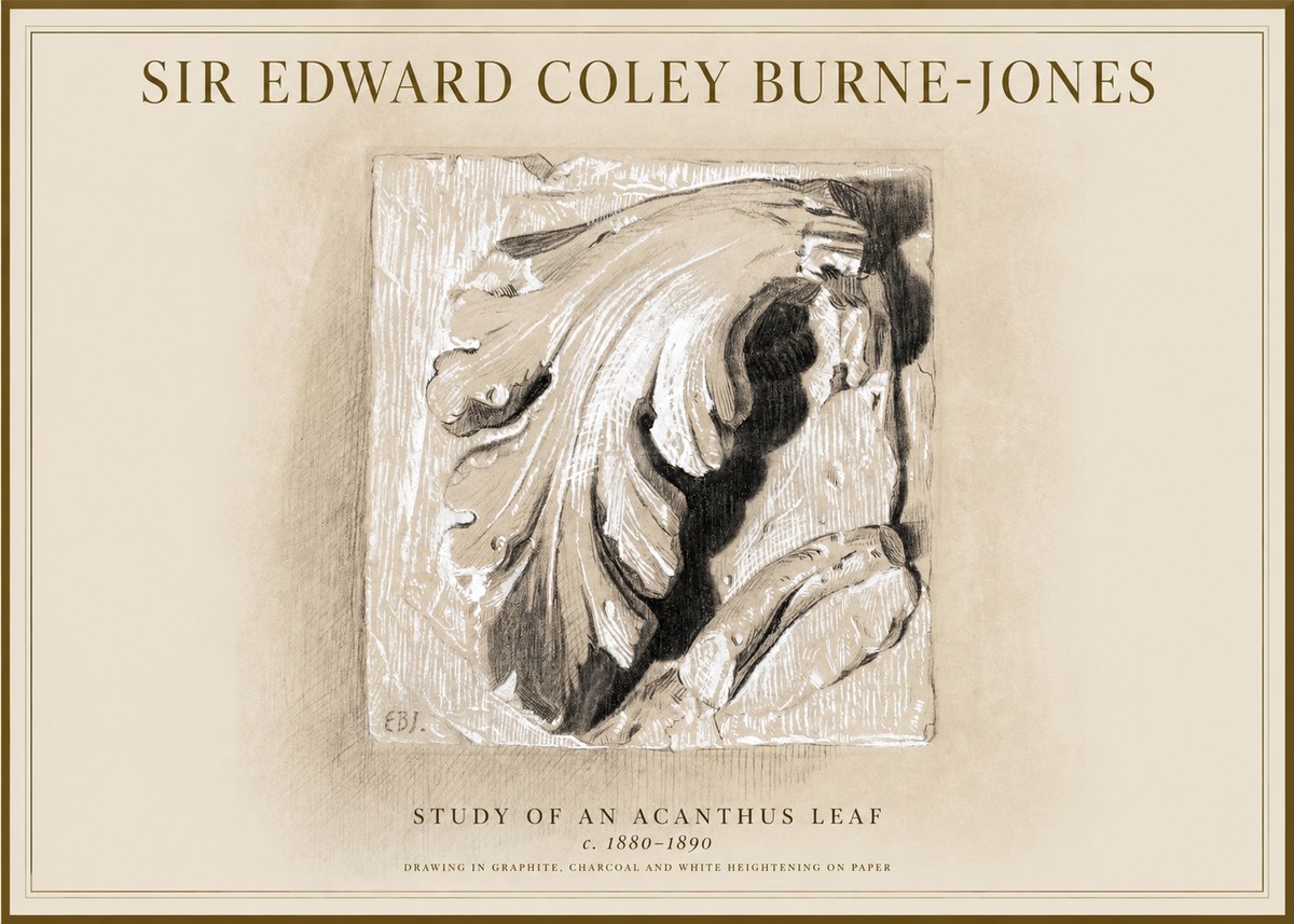 Edward Burne-Jones Study of an Acanthus Leaf No1 - Juliste