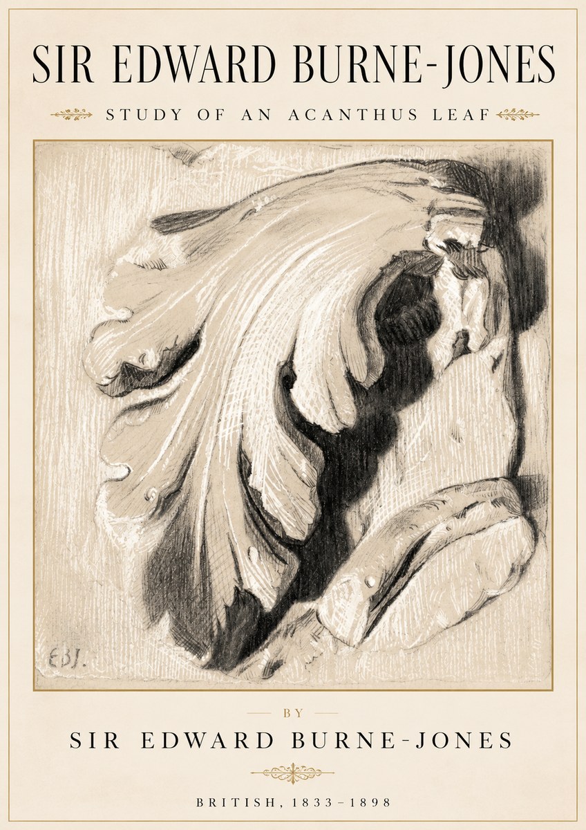 Edward Burne-Jones Study of an Acanthus Leaf No2 - Juliste