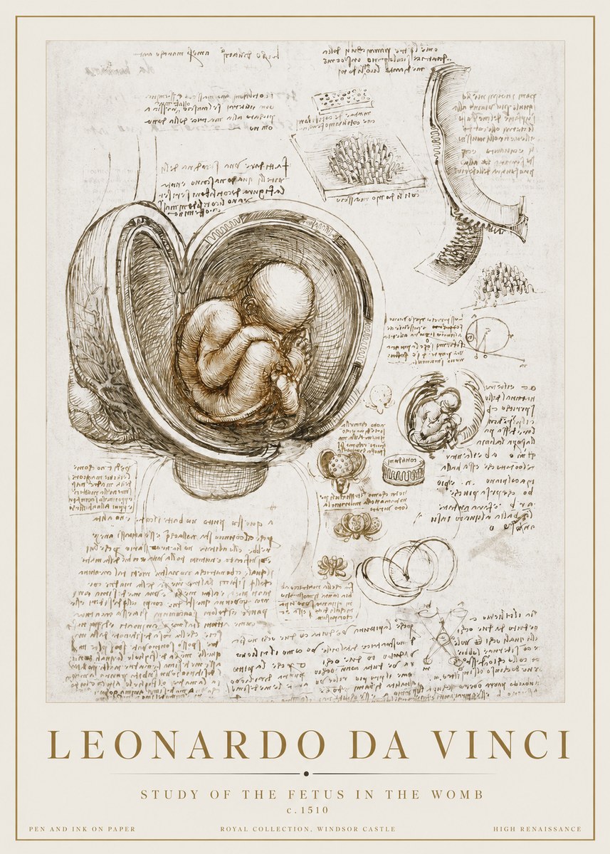 Leonardo da Vinci Studies of the Fetus in the Womb No3 - Juliste