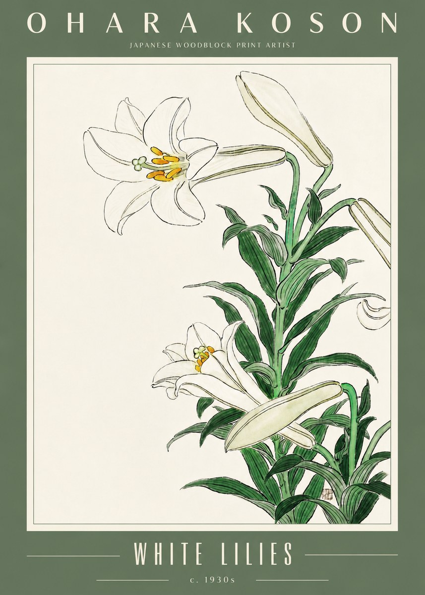 Ohara Koson White Lilies No4 - Juliste