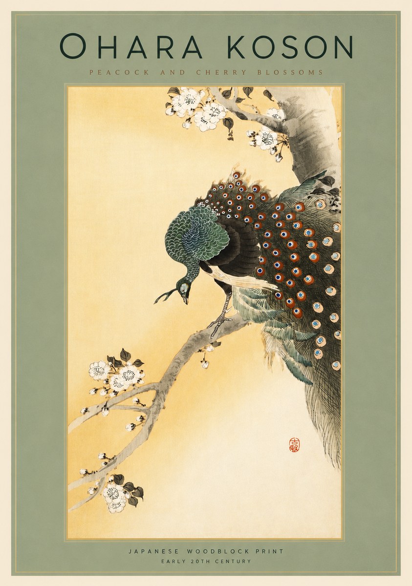 Ohara Koson Peacock and Cherry Blossoms No2 - Juliste