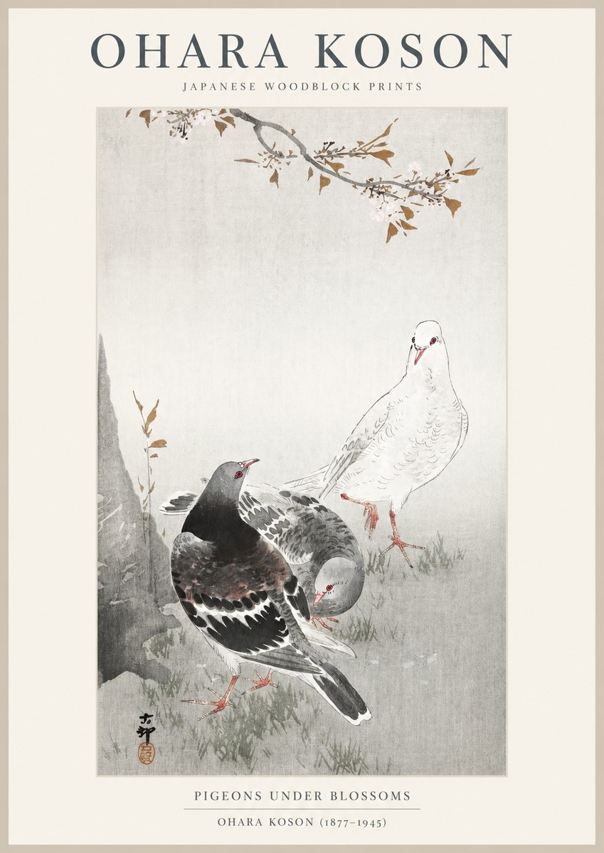 Ohara Koson Pigeons Under Blossoms No1 - Juliste