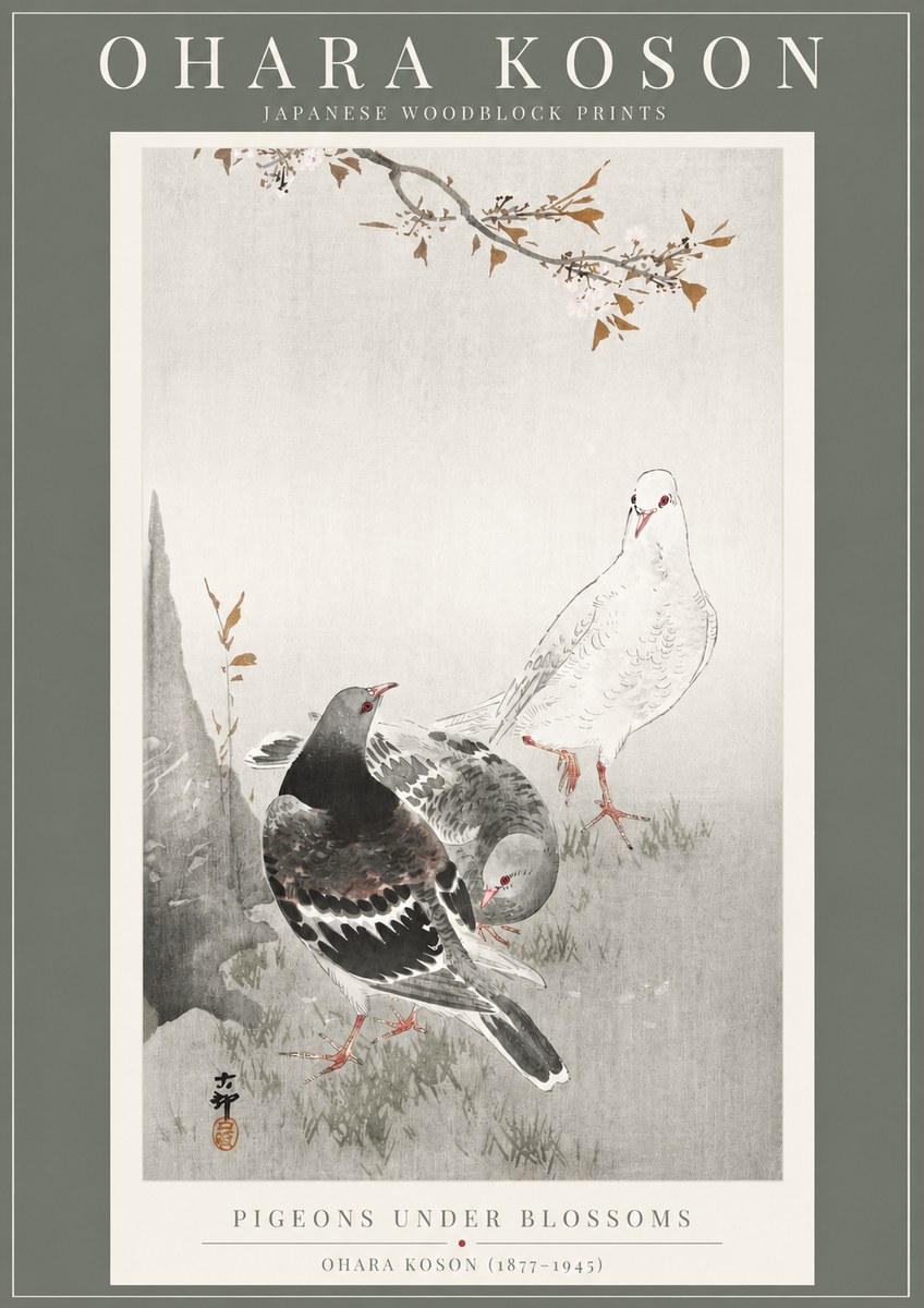 Ohara Koson Pigeons Under Blossoms No2 - Juliste