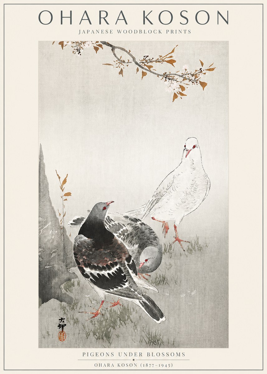 Ohara Koson Pigeons Under Blossoms No3 - Juliste