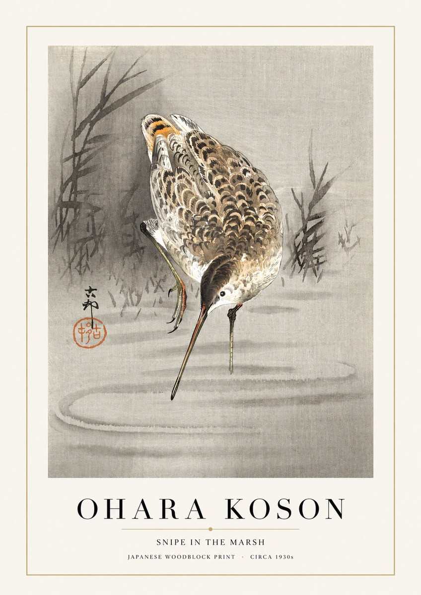 Ohara Koson Snipe in the Marsh No1 - Juliste