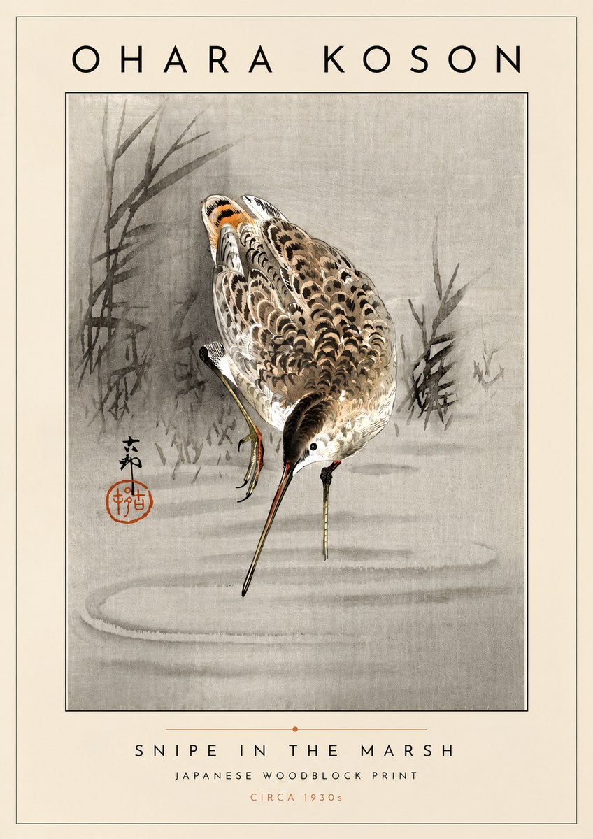 Ohara Koson Snipe in the Marsh No4 - Juliste