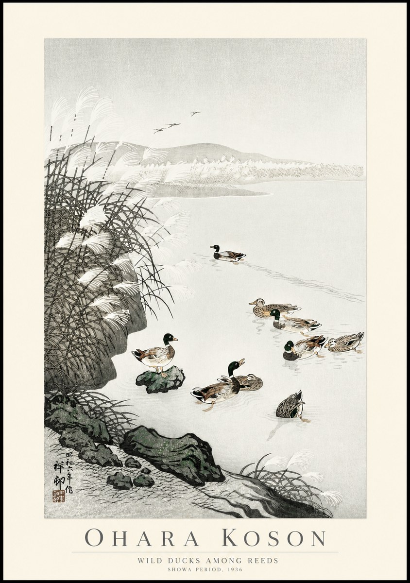 Ohara Koson Wild Ducks Among Reeds No1 - Juliste