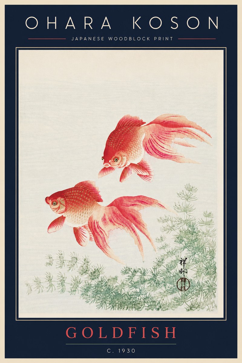 Ohara Koson Goldfish No5 - Juliste
