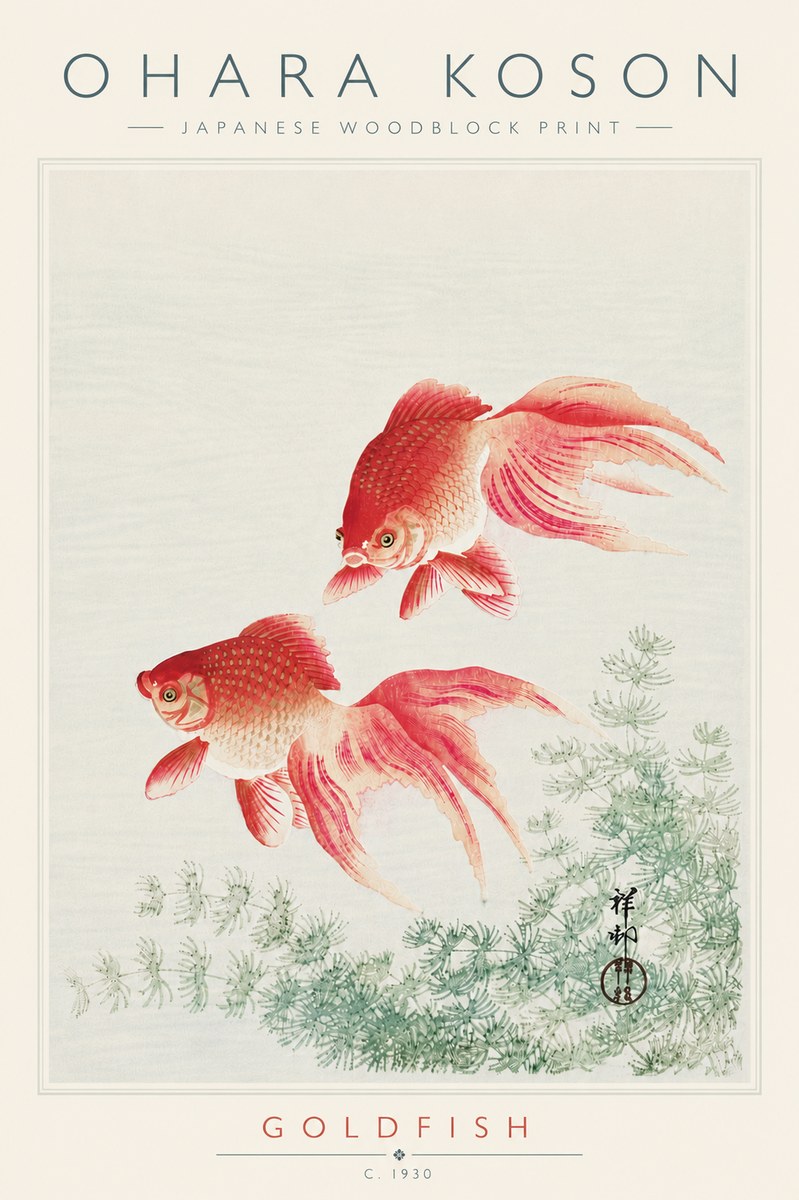 Ohara Koson Goldfish No6 - Juliste