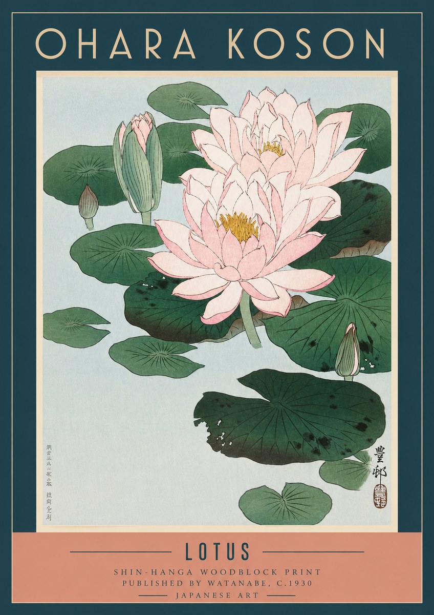 Ohara Koson Lotus I No3 - Juliste