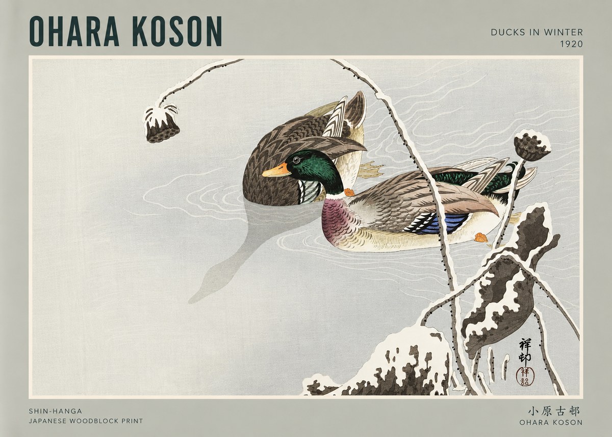 Ohara Koson Ducks in Winter No3 - Juliste