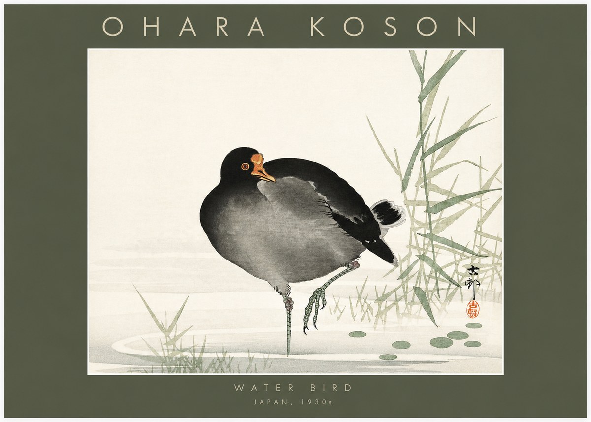 Ohara Koson Water Bird No2 - Juliste