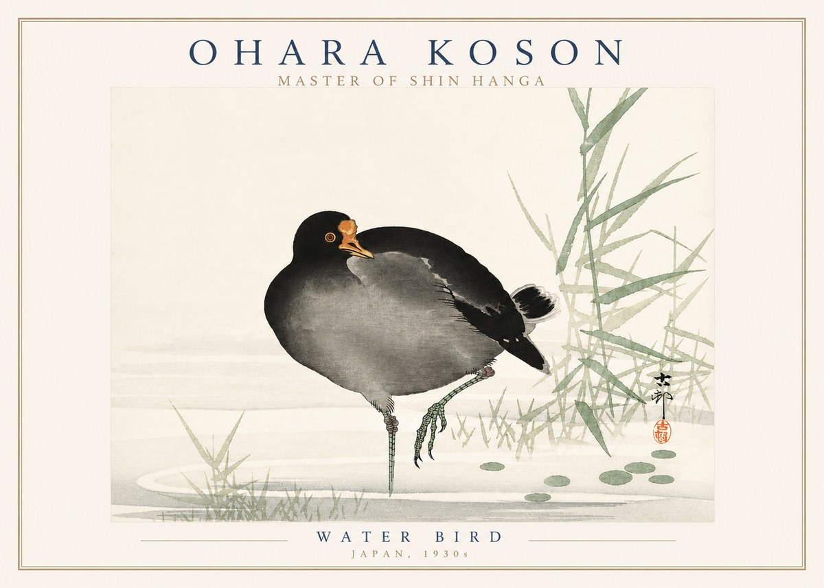 Ohara Koson Water Bird No3 - Juliste