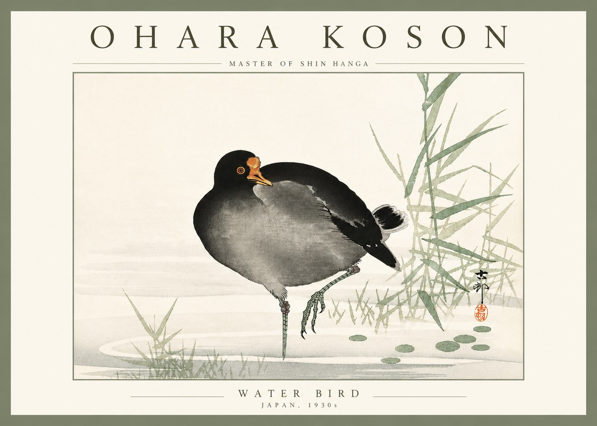 Ohara Koson Water Bird No4 - Juliste