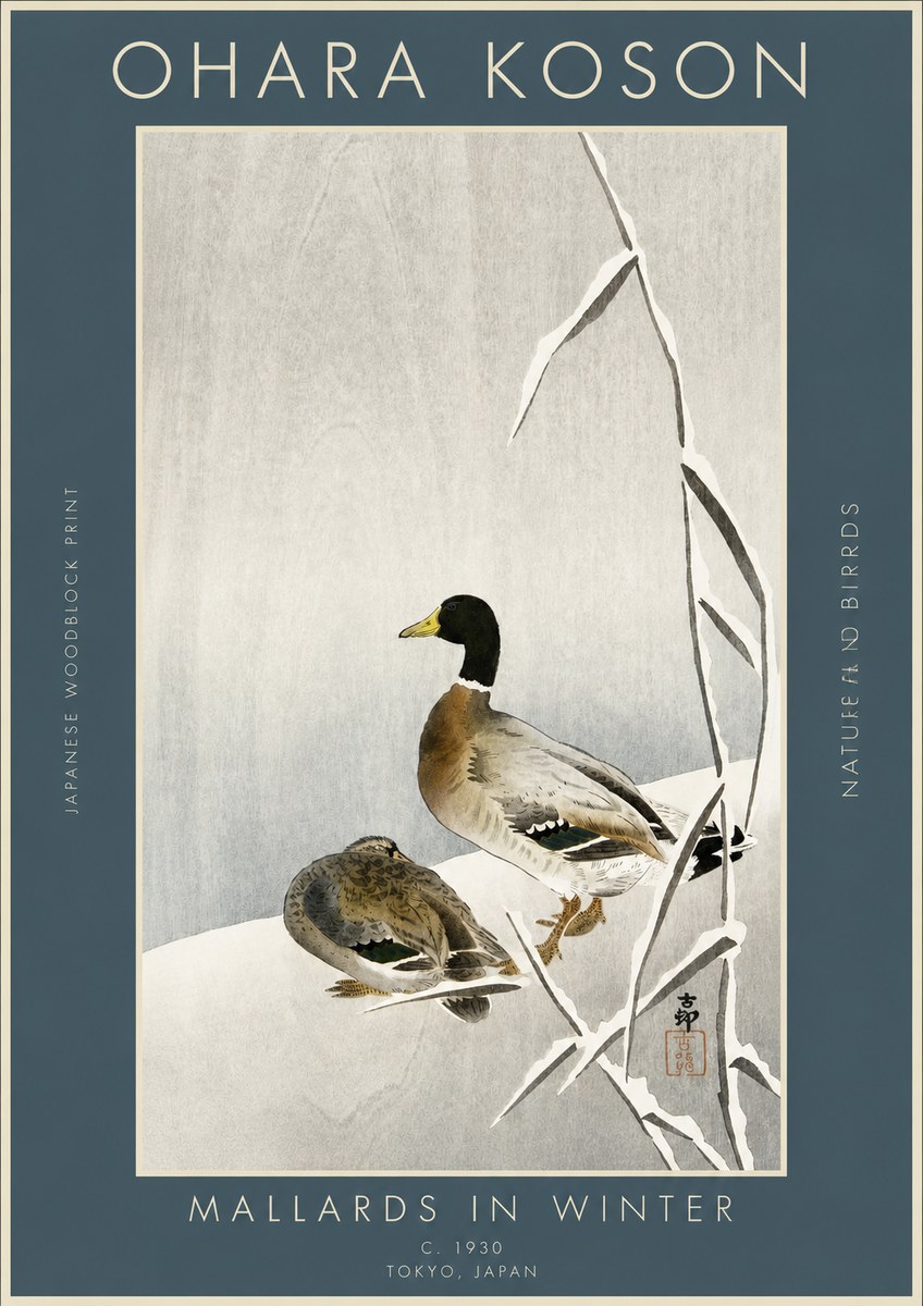 Ohara Koson Mallards in Winter No3 - Juliste