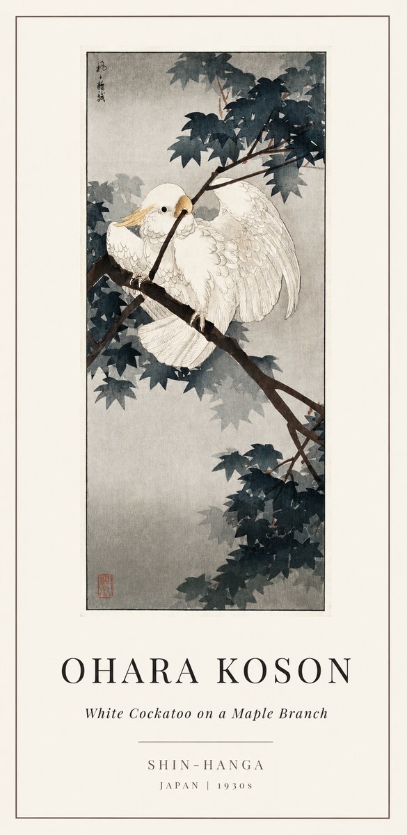 Ohara Koson White Cockatoo on a Maple Branch No1 - Juliste