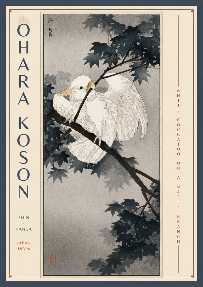 Ohara Koson White Cockatoo on a Maple Branch No3 - Juliste