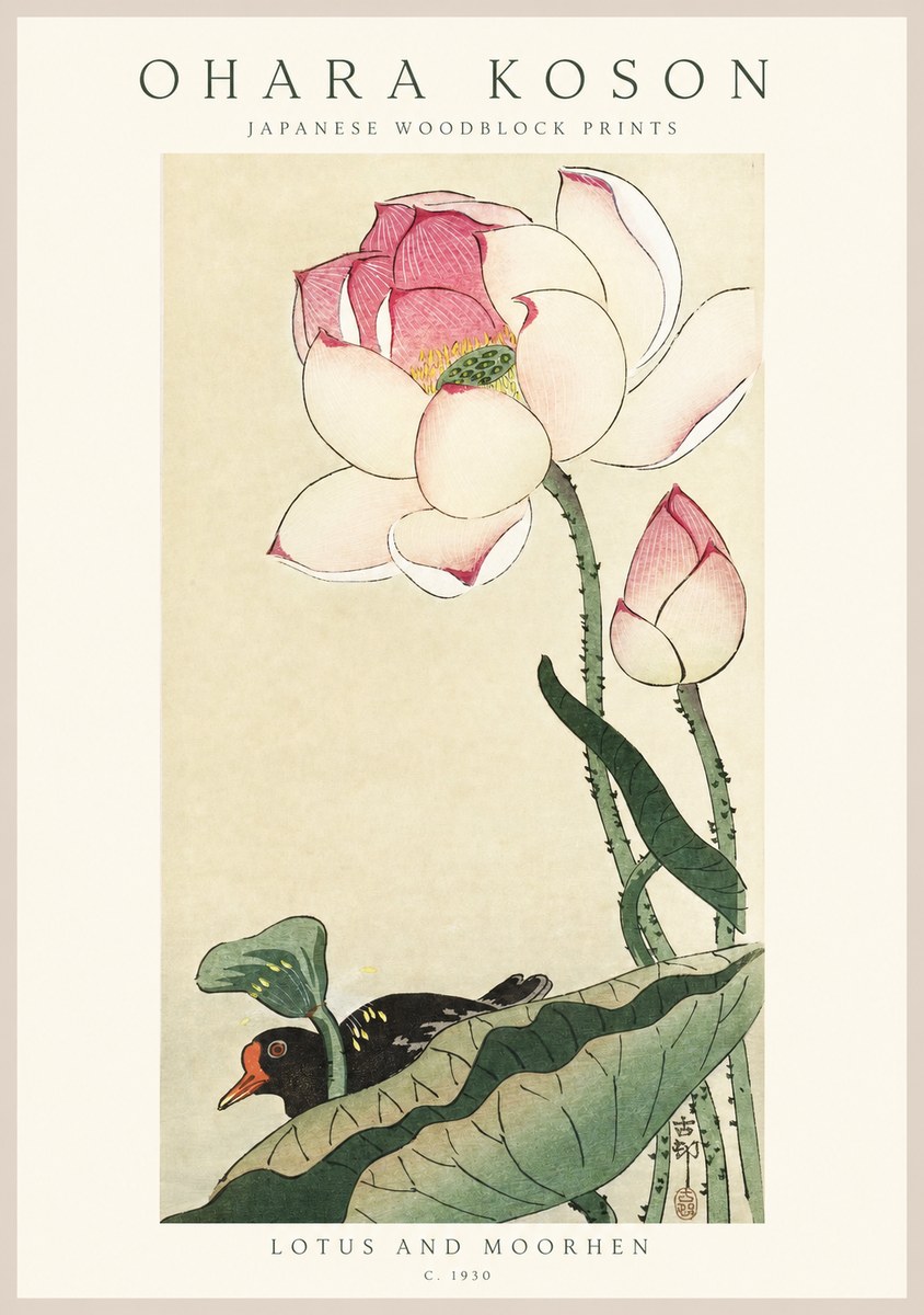 Ohara Koson Lotus and Moorhen No1 - Juliste
