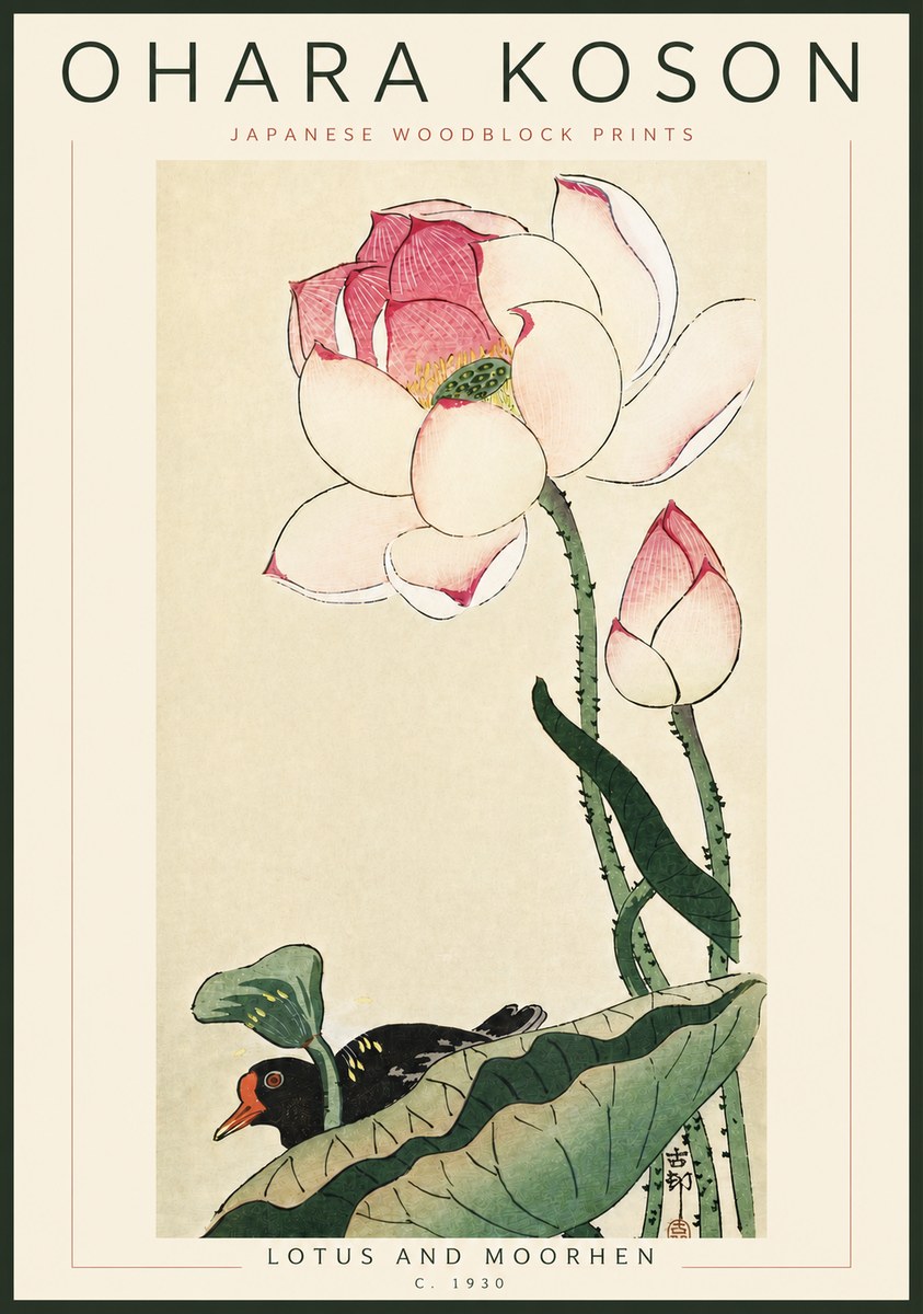 Ohara Koson Lotus and Moorhen No6 - Juliste