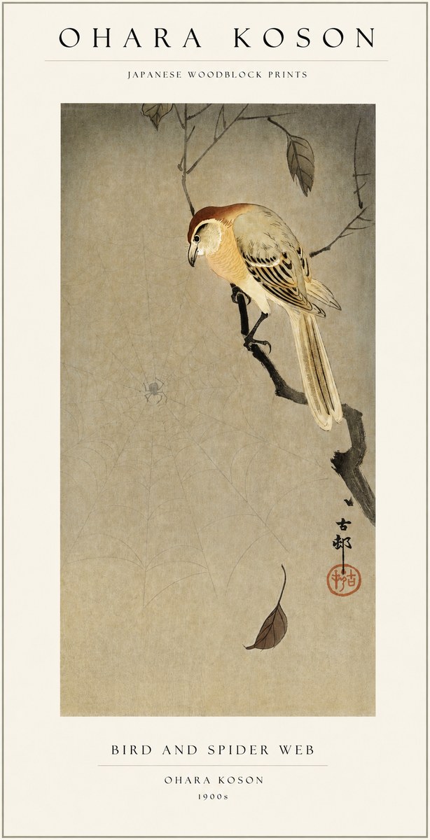 Ohara Koson Bird and Spider Web I No1 - Juliste