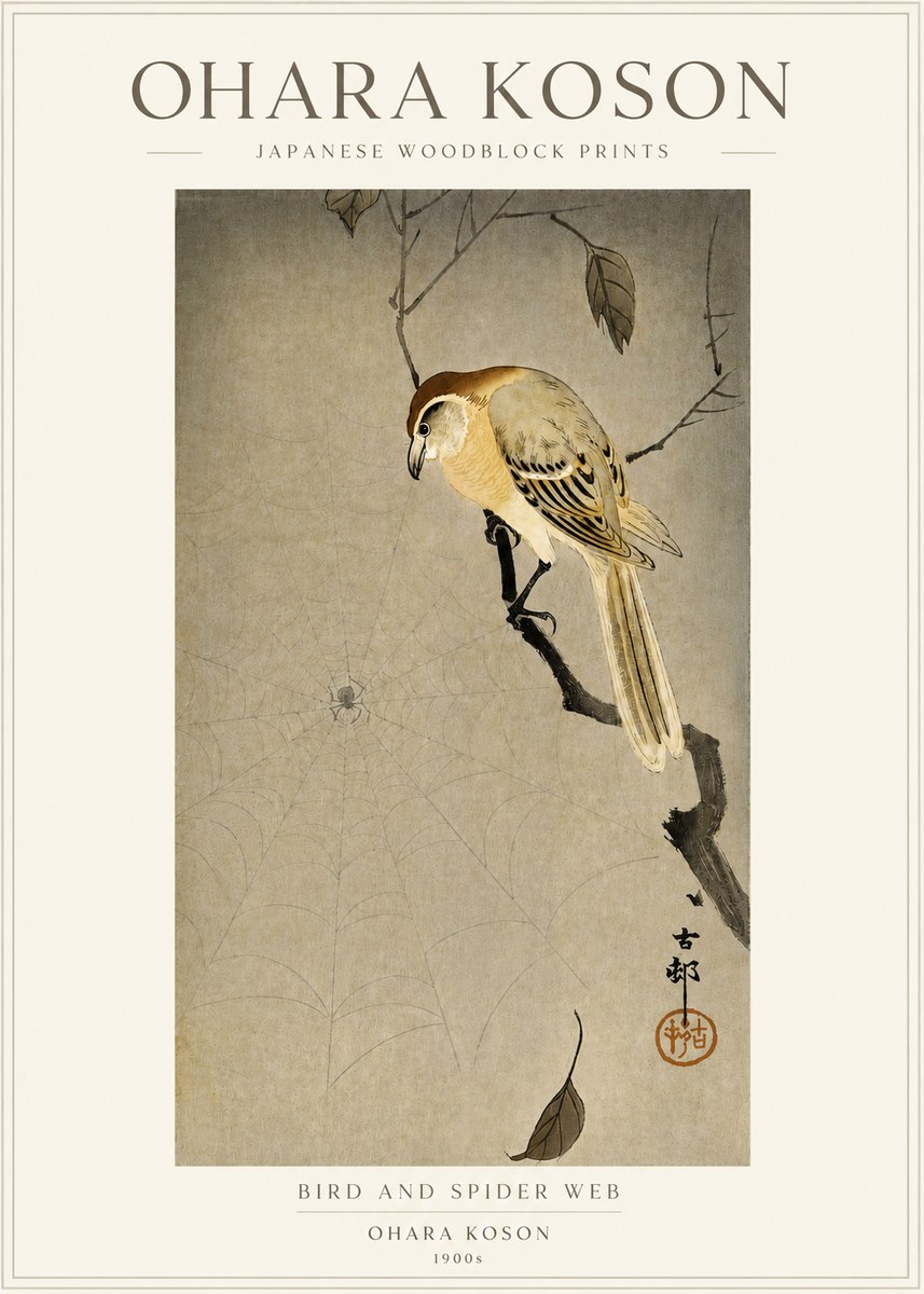 Ohara Koson Bird and Spider Web I No3 - Juliste