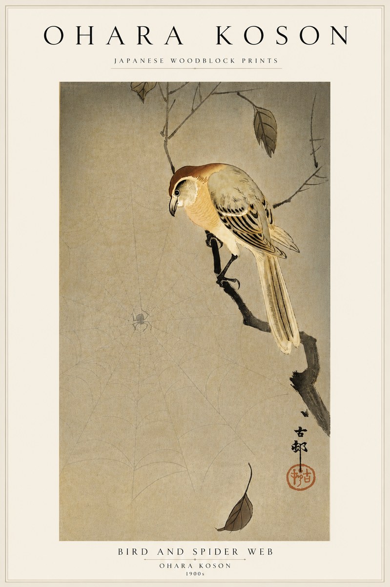 Ohara Koson Bird and Spider Web I No5 - Juliste