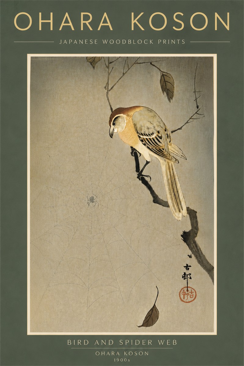 Ohara Koson Bird and Spider Web I No6 - Juliste