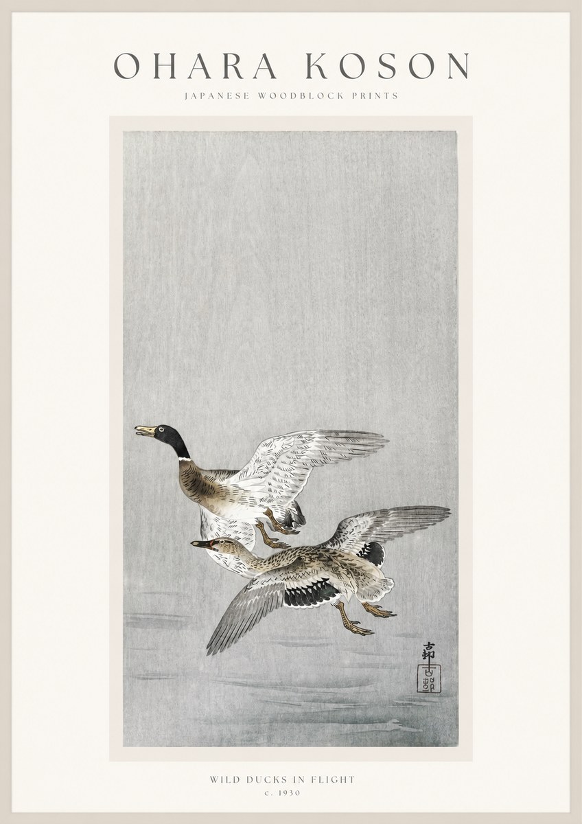 Ohara Koson Wild Ducks in Flight No1 - Juliste