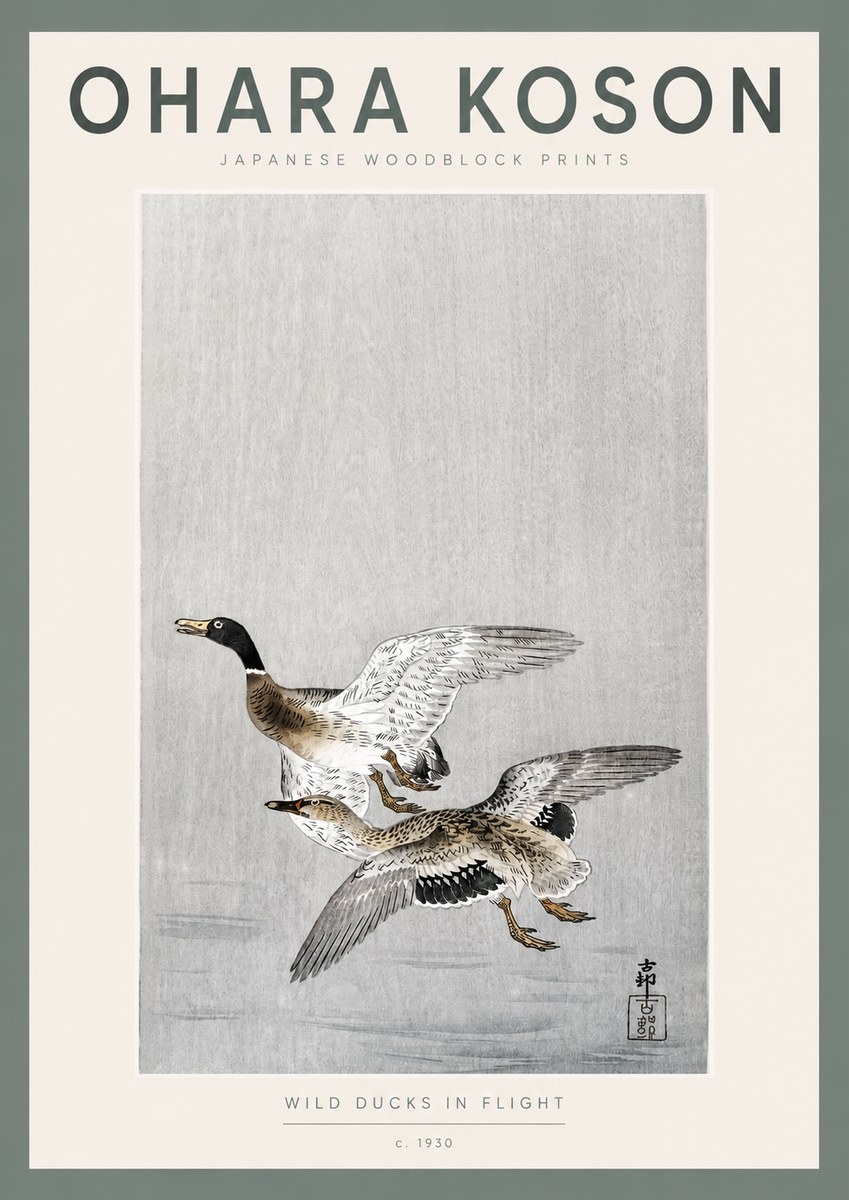 Ohara Koson Wild Ducks in Flight No2 - Juliste