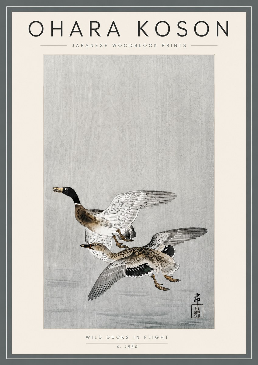 Ohara Koson Wild Ducks in Flight No5 - Juliste